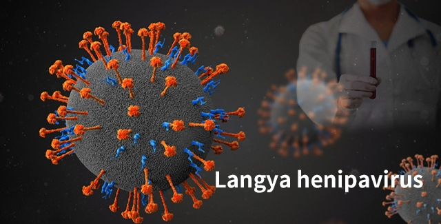 科学家发现了琅琊亨尼帕病毒